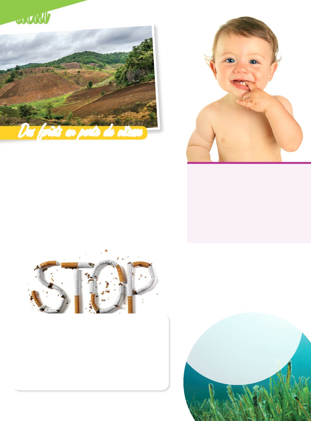 Page Background